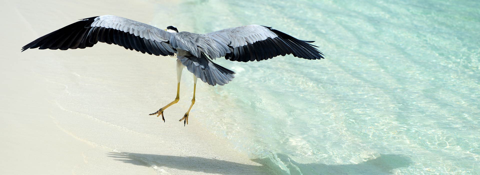 heron-beach-spiritual-retre